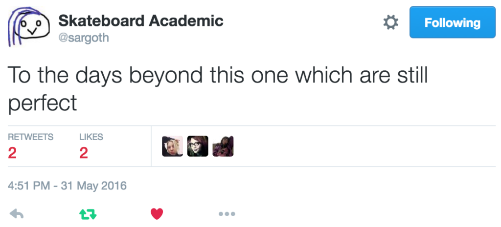 "To the days beyond this one which are still perfect" — the infamous Skateboard Academic on Twitter.