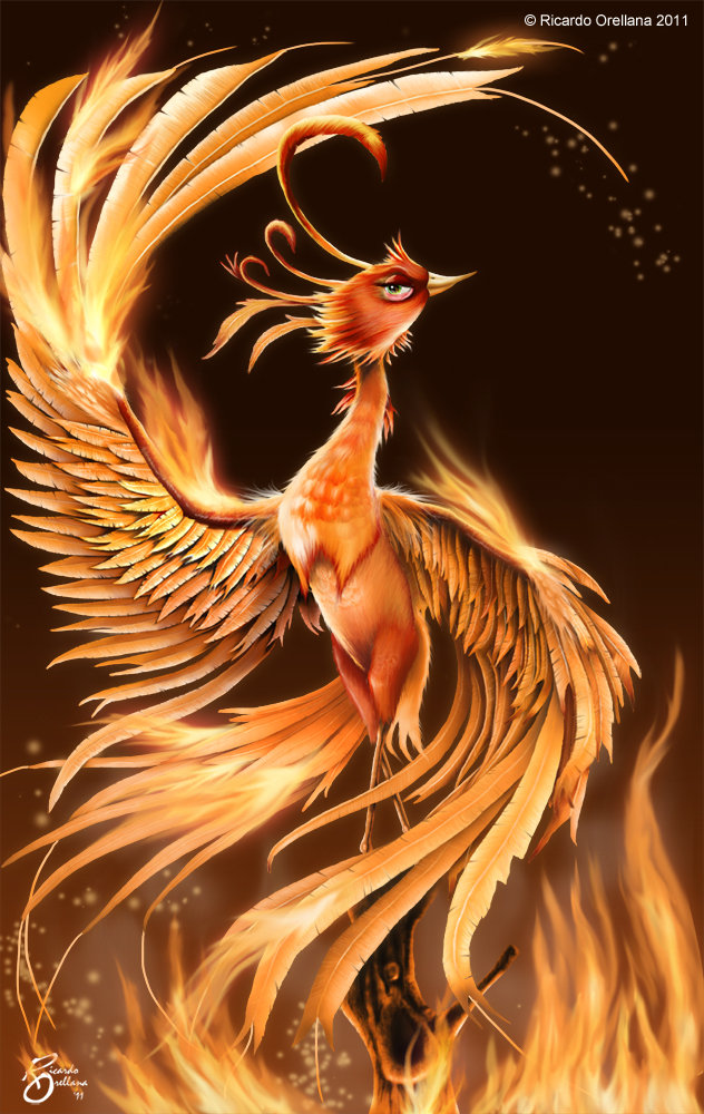 Phoenix illustration by Ricardo Orellana.